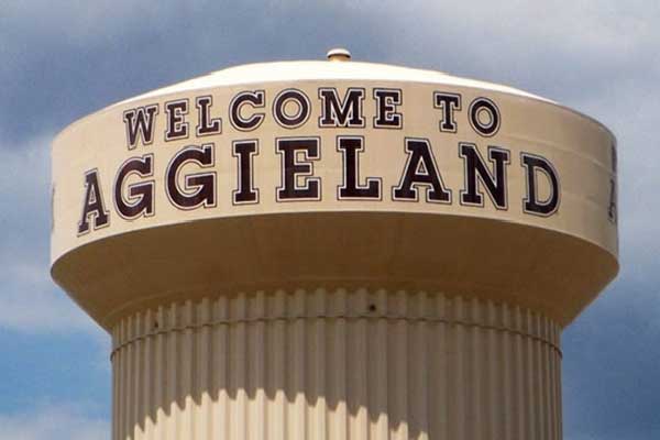 Bryan Texasroof Replacement