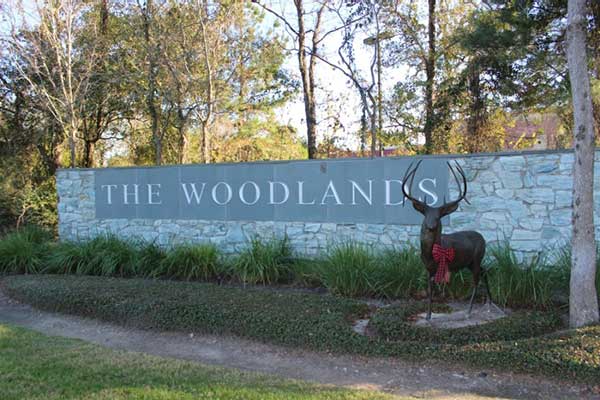 Thewoodlands Thewoodlands